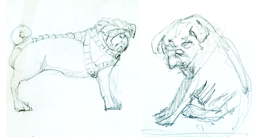 Pug dog comic sketches